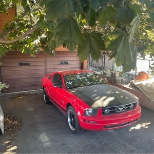 Meet your Posher, Jesse